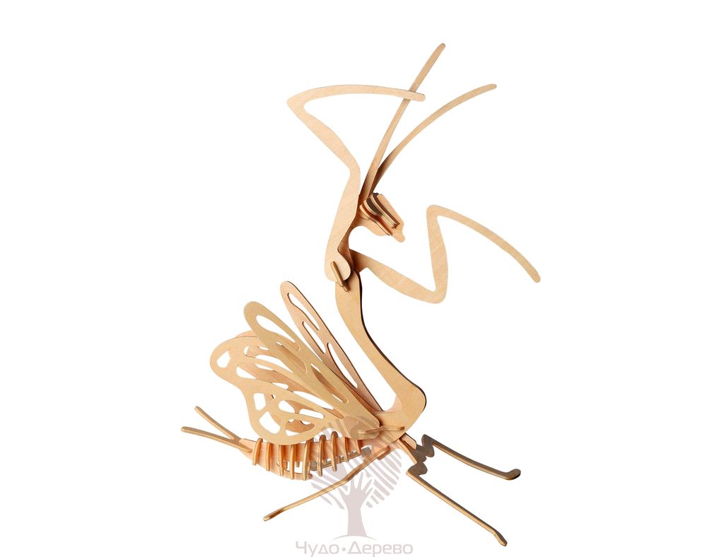 Богомол, арт.: E003