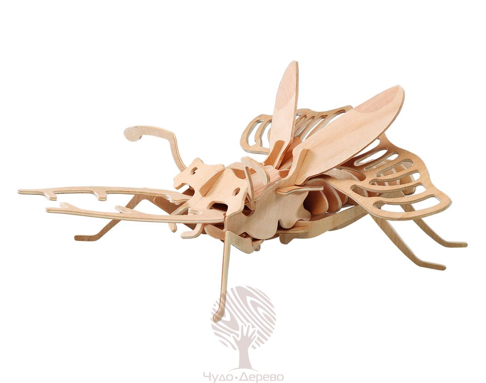 Жук-олень, арт.: E007