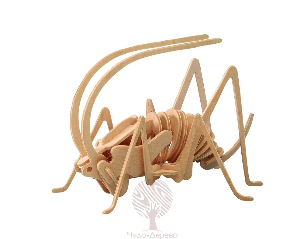 Сверчок (малый), арт.: E015