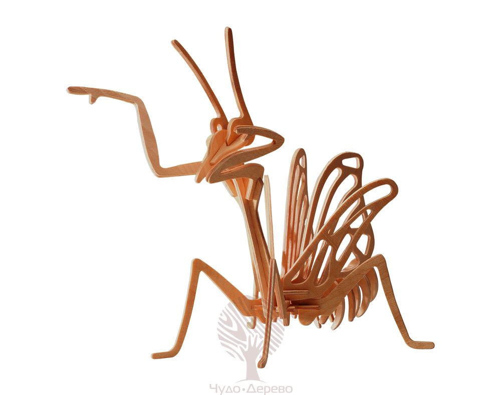 Богомол (малый), арт.: E019