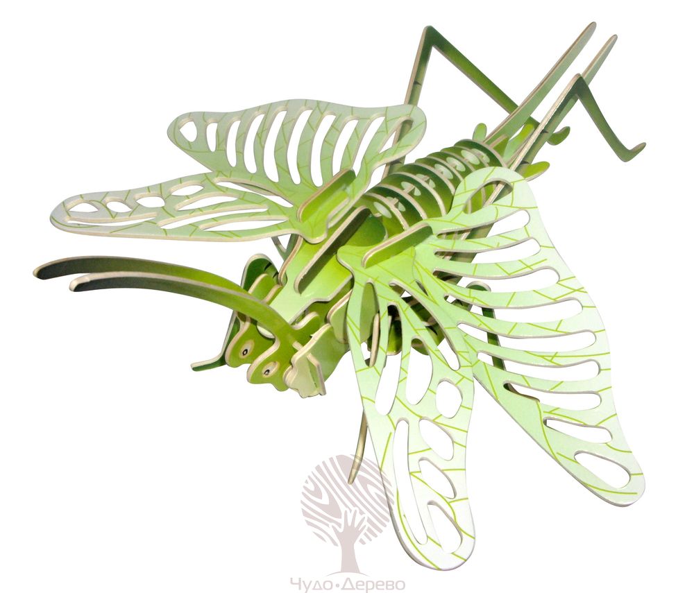 Саранча (цветная), арт.: EC027