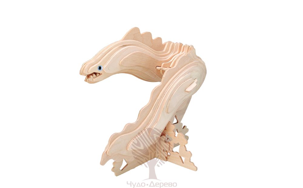 Мурена, арт.: H004