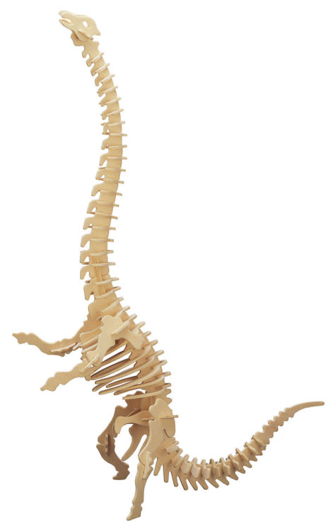 Диплодокус, арт.: J019