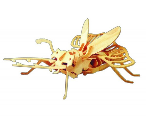 Жук-холостяк (малый), арт.: E007A