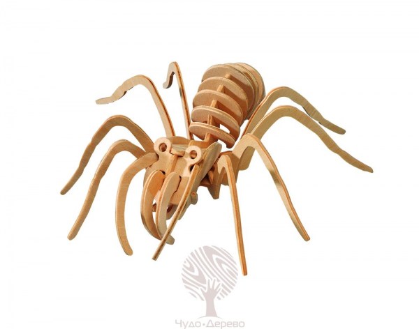Тарантул (малый), арт.: E017