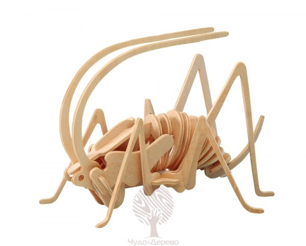 Сверчок, арт.: E028