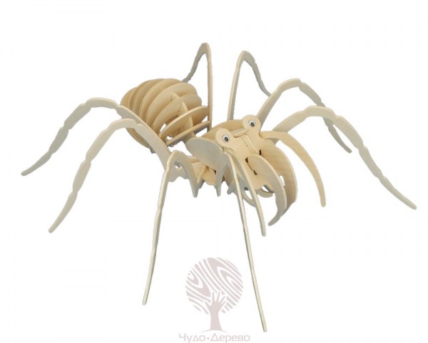 Тарантул, арт.: E029