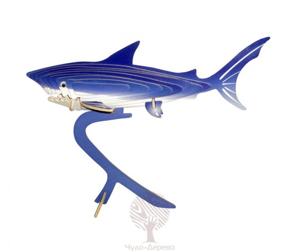 Акула (цветная), арт.: EC001