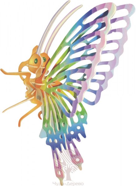 Бабочка (цветная), арт.: EC004