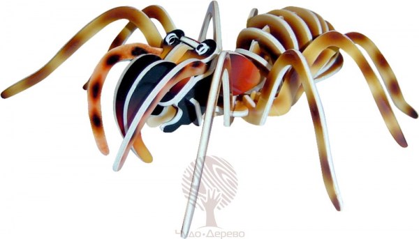 Тарантул (цветной), арт.: EC017