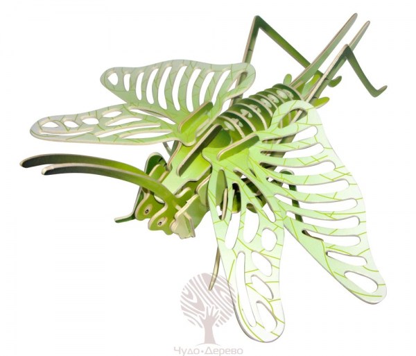 Саранча (цветная), арт.: EC027