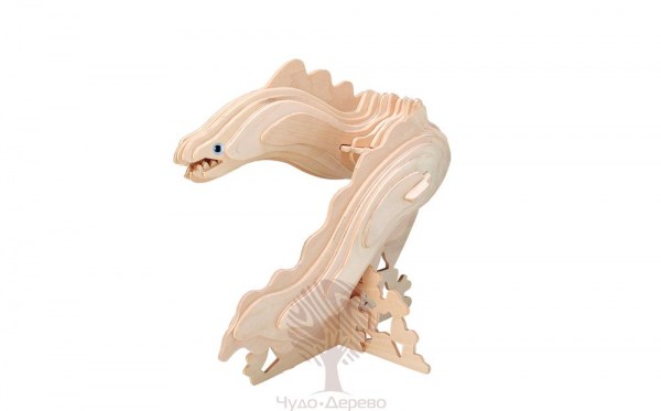 Мурена, арт.: H004