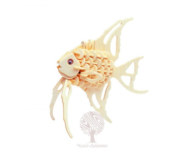 Рыба-ангел (малая), арт.: H010A