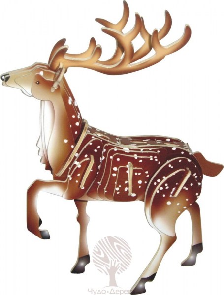 Благородный олень (цветной), арт.: MC031