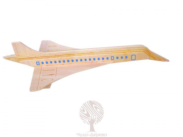 Сверхзвуковой авиалайнер, арт.: P121